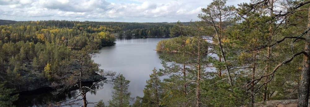 kalliomaisema_pinei